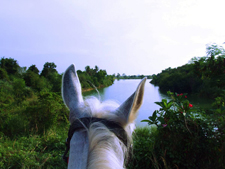 Thailand-Thailand-Pattaya Equestrian Retreat